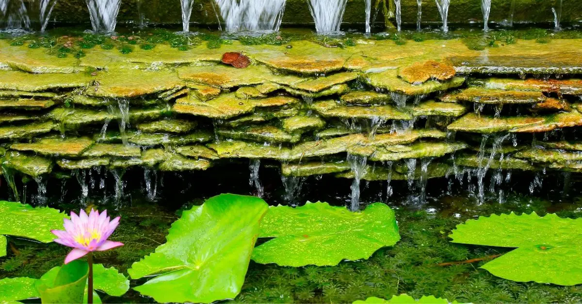 Can I Put Slate in My Pond? What Are the Benefits?