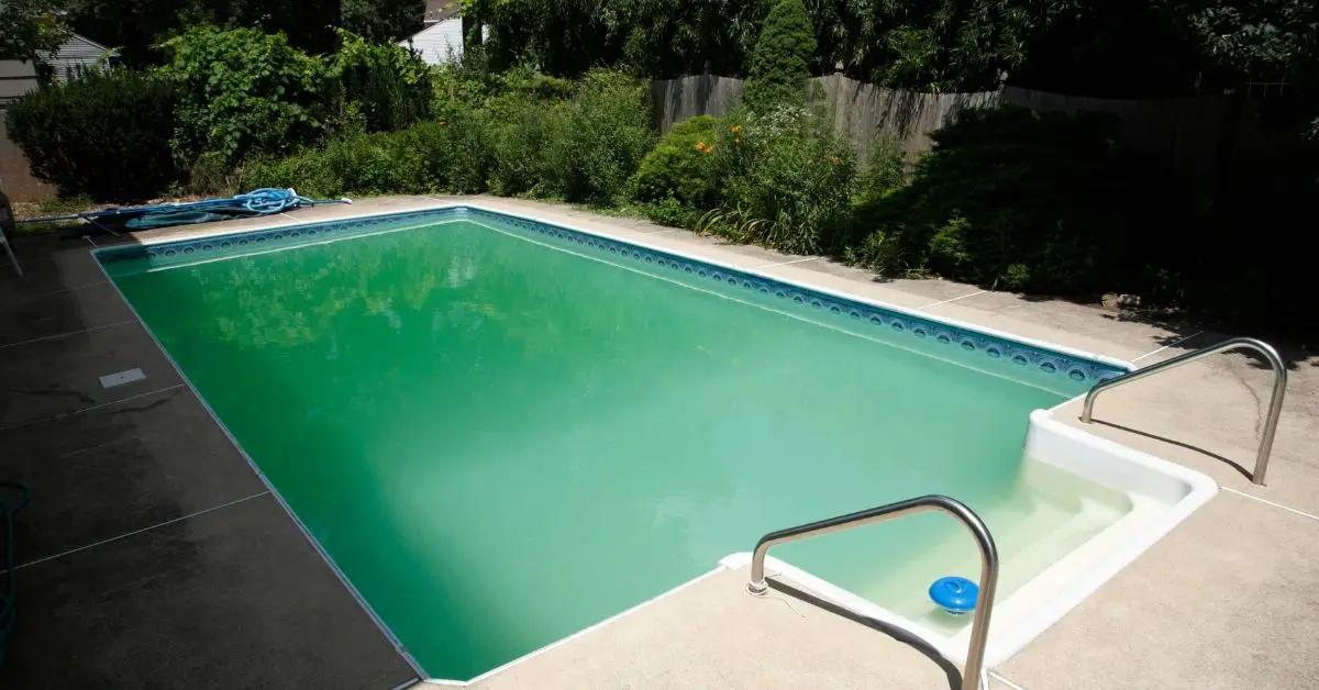 Can You Swim After Putting Algaecide in Pool?