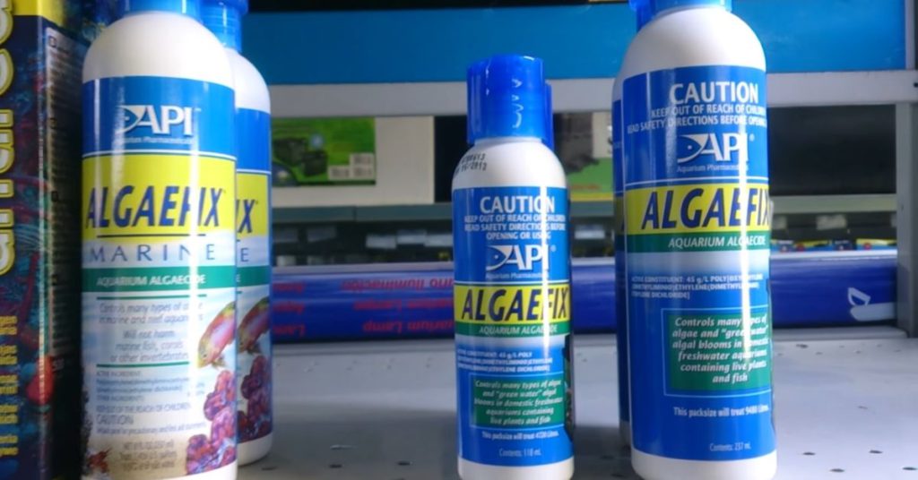 Does Algaefix Kill Beneficial Bacteria? About Backyard