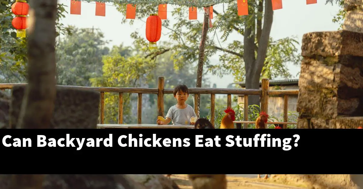 Can Backyard Chickens Eat Stuffing?